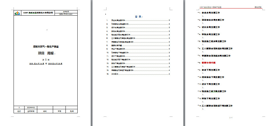 LEAF森叶正信_项目周报